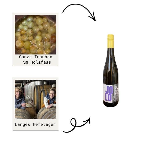 Mosel Riesling Weingut Wein