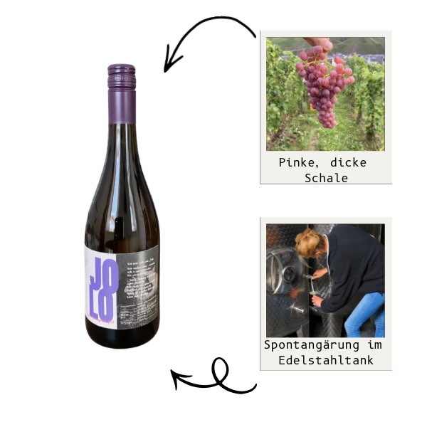 Souvignier gris Piwi Mosel
